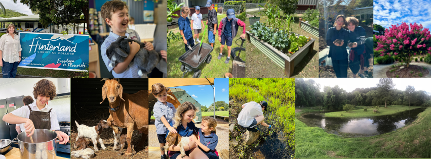 Earth Day at Hinterland | Jess Kapitola